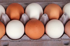 Landwirtschaftspolitik: Eier-Subventionen