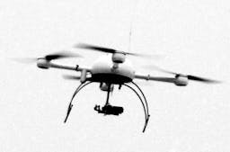 Gefangen im regulatorischen Netz: Drohne. (Wikimedia Commons)